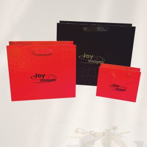 BOLSA DARWIN MODELO EXPRES