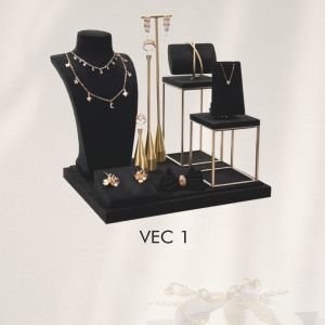 EXPOSITOR CASTILLO VEC 1