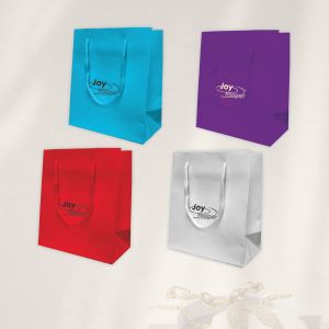 BOLSA MANUAL ARCO IRIS ASA CORDON 150 gr.