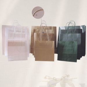 BOLSA MODELO PAPEL AUTOMATICO ASA RIZADA 100 gr.